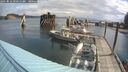./images/quadra/hbidock/20250816/hbidock20250816_095011M.jpg