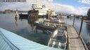 ./images/quadra/hbidock/20250816/hbidock20250816_100500M.jpg