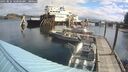 ./images/quadra/hbidock/20250816/hbidock20250816_101000M.jpg