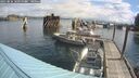 ./images/quadra/hbidock/20250816/hbidock20250816_102000M.jpg