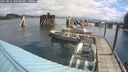 ./images/quadra/hbidock/20250816/hbidock20250816_102500M.jpg