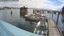 ./images/quadra/hbidock/20250816/hbidock20250816_103000M.jpg
