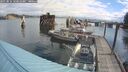 ./images/quadra/hbidock/20250816/hbidock20250816_103011M.jpg