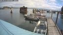 ./images/quadra/hbidock/20250816/hbidock20250816_104000M.jpg