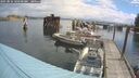 ./images/quadra/hbidock/20250816/hbidock20250816_104500M.jpg