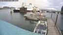 ./images/quadra/hbidock/20250816/hbidock20250816_115011M.jpg