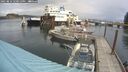 ./images/quadra/hbidock/20250816/hbidock20250816_120012M.jpg