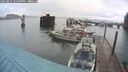 ./images/quadra/hbidock/20250816/hbidock20250816_124009M.jpg