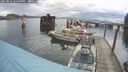 ./images/quadra/hbidock/20250816/hbidock20250816_183000M.jpg