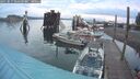 ./images/quadra/hbidock/20250817/hbidock20250817_062509M.jpg