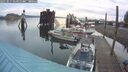 ./images/quadra/hbidock/20250817/hbidock20250817_064010M.jpg