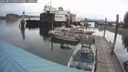 ./images/quadra/hbidock/20250817/hbidock20250817_095510M.jpg