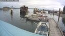 ./images/quadra/hbidock/20250817/hbidock20250817_102011M.jpg