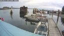 ./images/quadra/hbidock/20250817/hbidock20250817_104511M.jpg