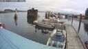 ./images/quadra/hbidock/20250817/hbidock20250817_110000M.jpg