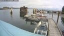 ./images/quadra/hbidock/20250817/hbidock20250817_111500M.jpg