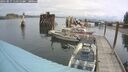 ./images/quadra/hbidock/20250817/hbidock20250817_111511M.jpg