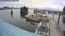 ./images/quadra/hbidock/20250817/hbidock20250817_113010M.jpg