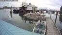 ./images/quadra/hbidock/20250817/hbidock20250817_115000M.jpg