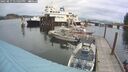 ./images/quadra/hbidock/20250817/hbidock20250817_135007M.jpg