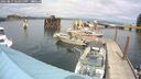 ./images/quadra/hbidock/20250817/hbidock20250817_144011M.jpg