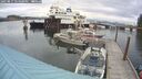 ./images/quadra/hbidock/20250817/hbidock20250817_154000M.jpg