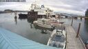 ./images/quadra/hbidock/20250817/hbidock20250817_154011M.jpg
