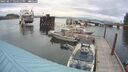 ./images/quadra/hbidock/20250817/hbidock20250817_154511M.jpg