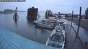 ./images/quadra/hbidock/20250818/hbidock20250818_060508M.jpg