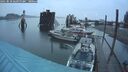 ./images/quadra/hbidock/20250818/hbidock20250818_061000M.jpg