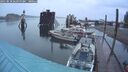 ./images/quadra/hbidock/20250818/hbidock20250818_062000M.jpg