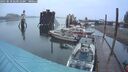 ./images/quadra/hbidock/20250818/hbidock20250818_063012M.jpg