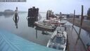 ./images/quadra/hbidock/20250818/hbidock20250818_064000M.jpg