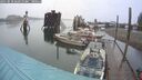 ./images/quadra/hbidock/20250818/hbidock20250818_065010M.jpg