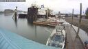 ./images/quadra/hbidock/20250818/hbidock20250818_083000M.jpg