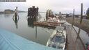 ./images/quadra/hbidock/20250818/hbidock20250818_084010M.jpg