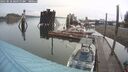 ./images/quadra/hbidock/20250818/hbidock20250818_090000M.jpg