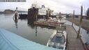 ./images/quadra/hbidock/20250818/hbidock20250818_100510M.jpg