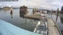 ./images/quadra/hbidock/20250818/hbidock20250818_113510M.jpg
