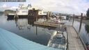 ./images/quadra/hbidock/20250818/hbidock20250818_115000M.jpg