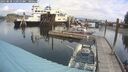 ./images/quadra/hbidock/20250818/hbidock20250818_115011M.jpg