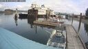 ./images/quadra/hbidock/20250818/hbidock20250818_115510M.jpg