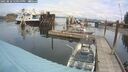 ./images/quadra/hbidock/20250818/hbidock20250818_121000M.jpg