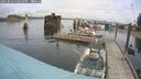 ./images/quadra/hbidock/20250818/hbidock20250818_122011M.jpg