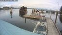 ./images/quadra/hbidock/20250818/hbidock20250818_125010M.jpg