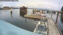 ./images/quadra/hbidock/20250818/hbidock20250818_125510M.jpg