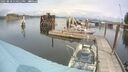 ./images/quadra/hbidock/20250818/hbidock20250818_130511M.jpg