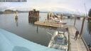 ./images/quadra/hbidock/20250818/hbidock20250818_131009M.jpg