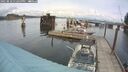 ./images/quadra/hbidock/20250818/hbidock20250818_132500M.jpg