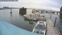 ./images/quadra/hbidock/20250818/hbidock20250818_163011M.jpg